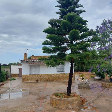 Villa Les Berreries Montroy Exterior foto