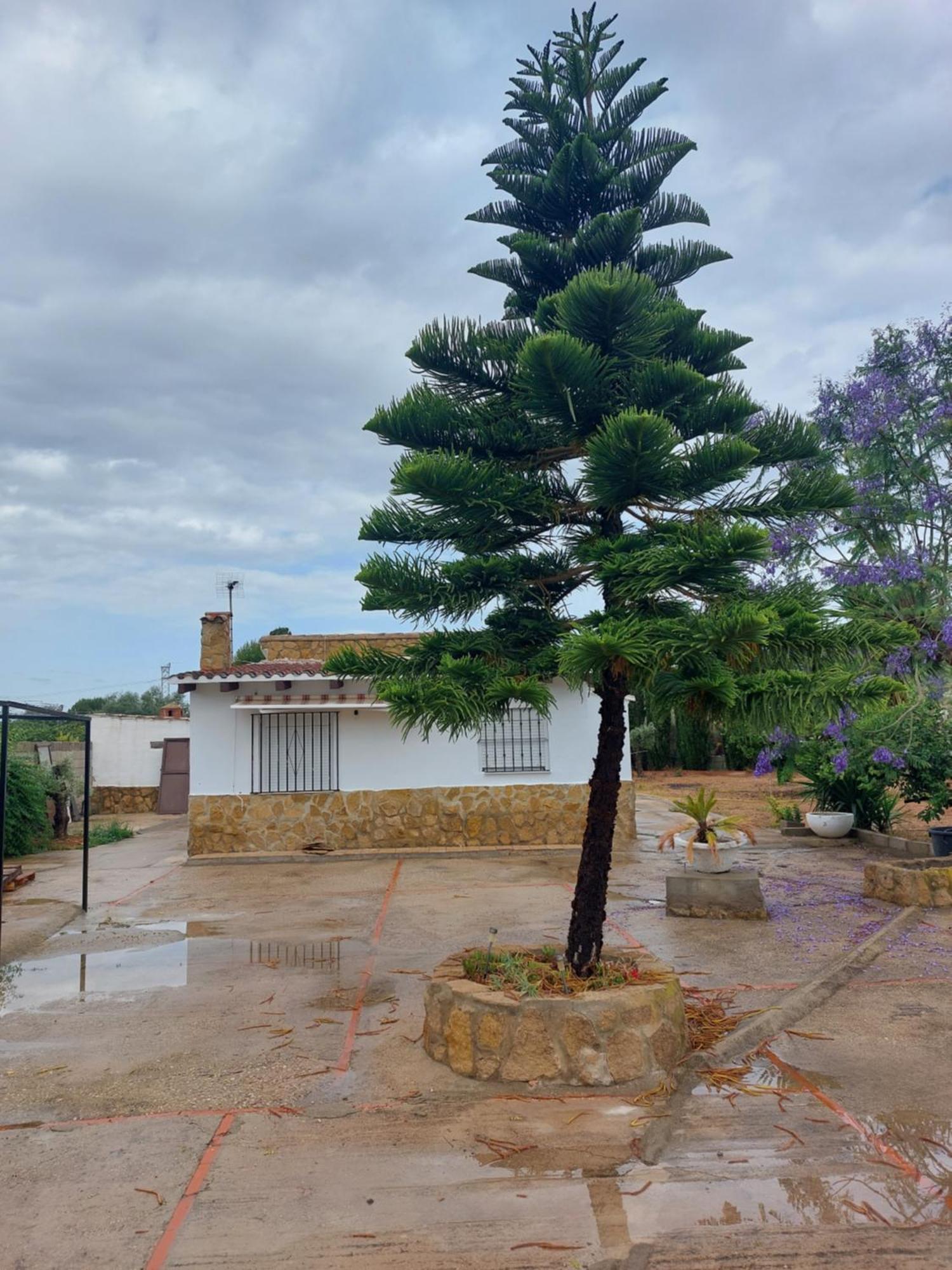 Villa Les Berreries Montroy Exterior foto