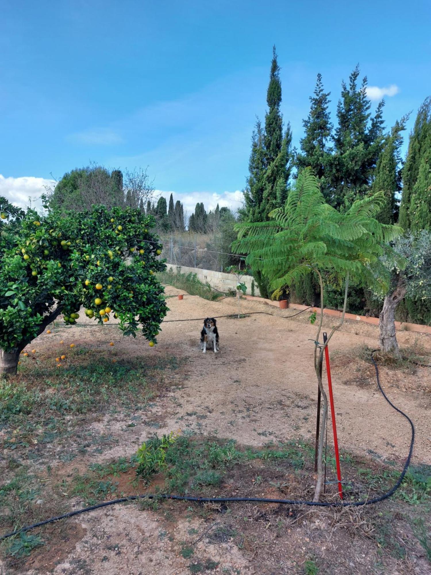Villa Les Berreries Montroy Exterior foto